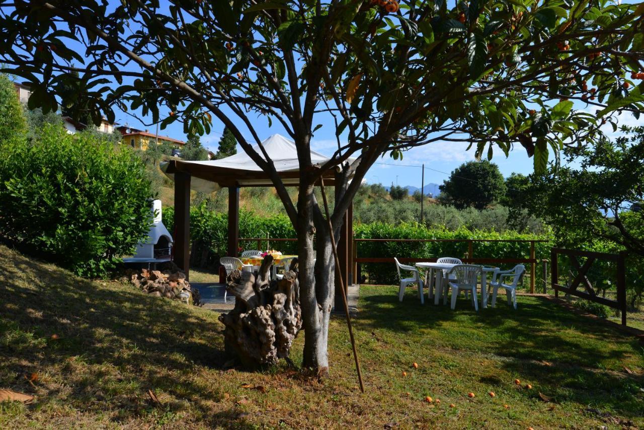 Antiche Mura Casa Vacanze Puegnago Eksteriør bilde